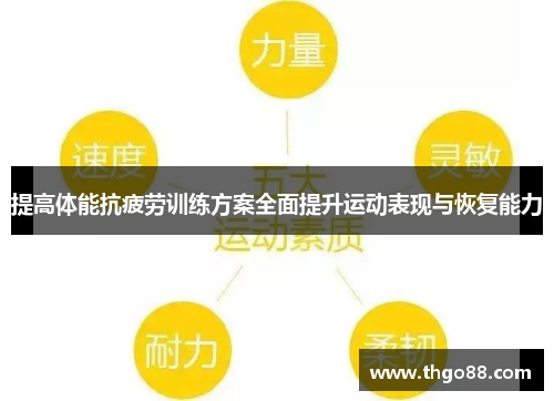 提高体能抗疲劳训练方案全面提升运动表现与恢复能力